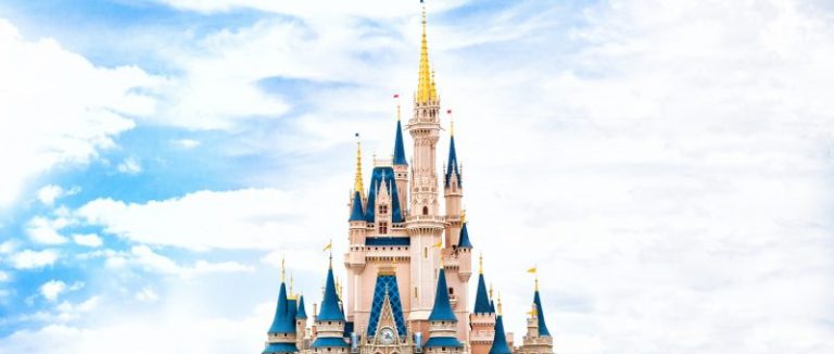 Magic Kingdom Castle