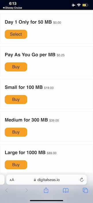 Screenshot of Disney Cruise Line Internet Packages. 50MB free if purchased on the first day. 100MB for $19. 300 MB for $39. 1000MB for $89.