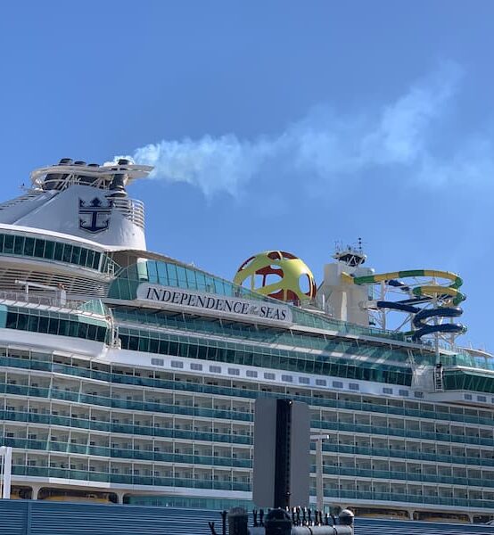 Royal Caribbean's Independence of the Seas Cruise Ship on a cloudless day
