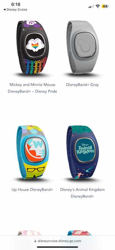 Examples of non-Disney Cruise Line DisneyBand+ options available for purchase on a recent Disney Wish sailing
